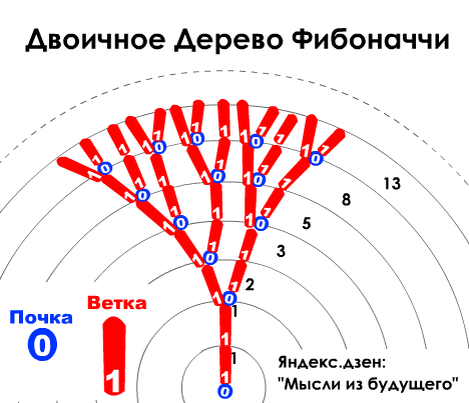 Каждый следующий элемент элемент дерева равен сумме двух предыдущих.