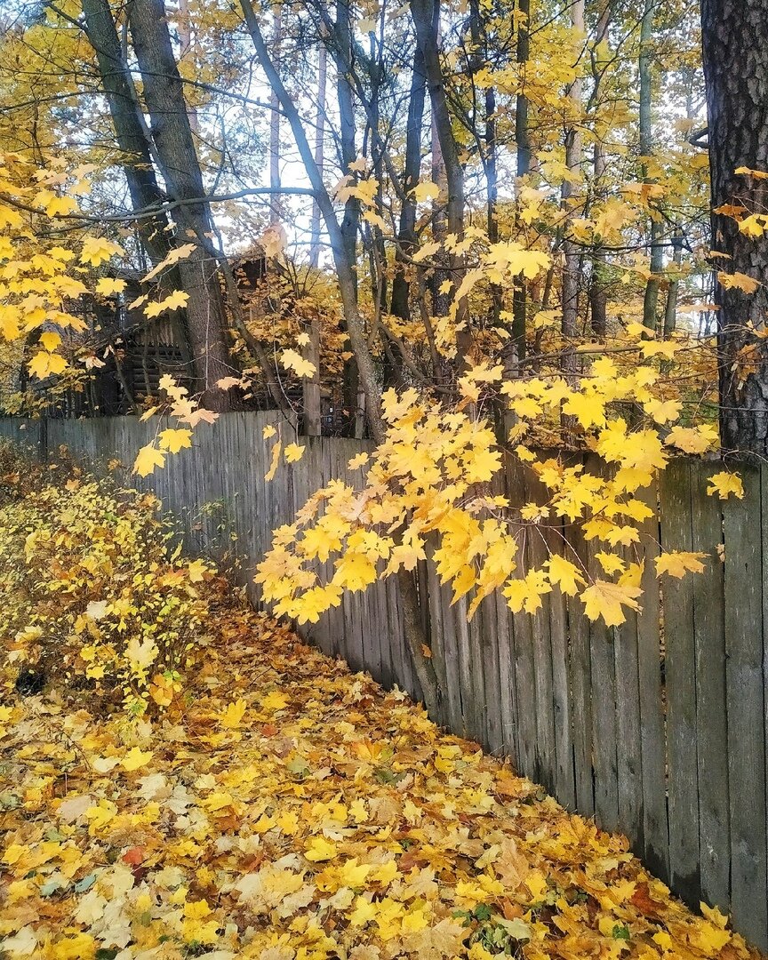 Необыкновенный октябрь. Фото из личного архива