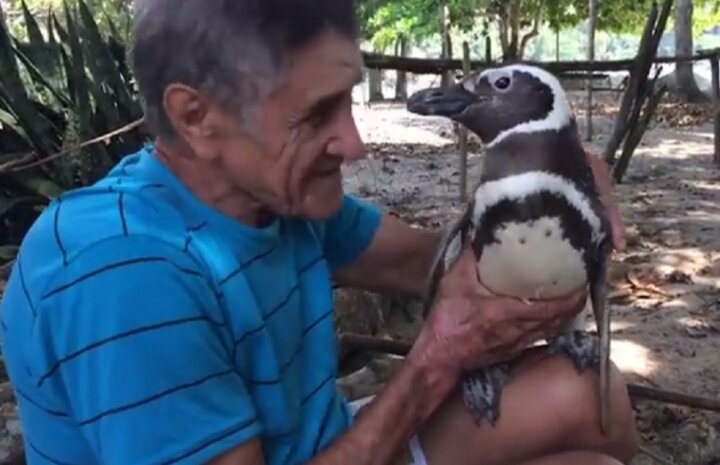 Жоао и Диндтм