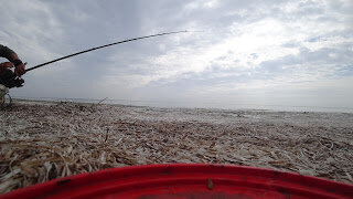 
Поимка кефали, во многом зависит и от характеристик используемых грузил, их веса, формы и цвета. В статье о монтаже снастей на кефаль я рассказывал о том, какие кефлисты используют грузила. Грузила должно максимально слеваться с окружающей средой и не должно набирать водоросли.
