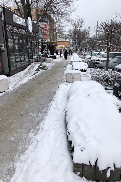 Вот и нам выпал снежный денёк. Жаль, но завтра будет таять. Фото автора 08.02.20