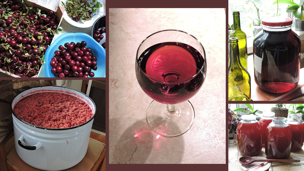 Фото: Как я открыла в себе талант винодела)