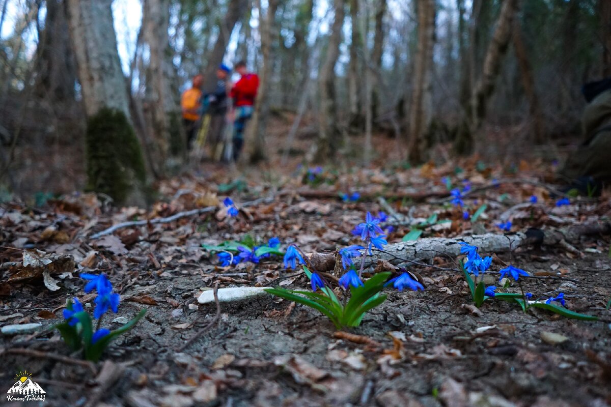 Водопады Жане, 8 марта 2020