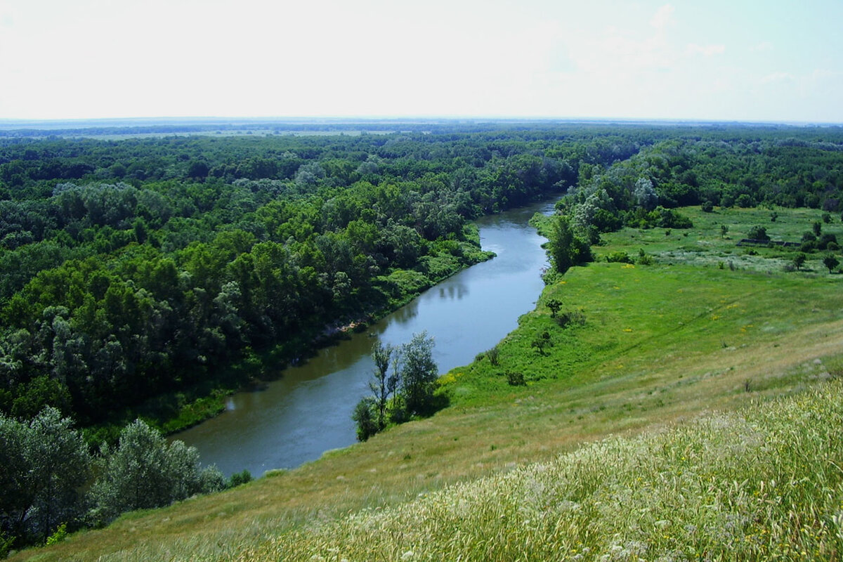 рыбы река медведица