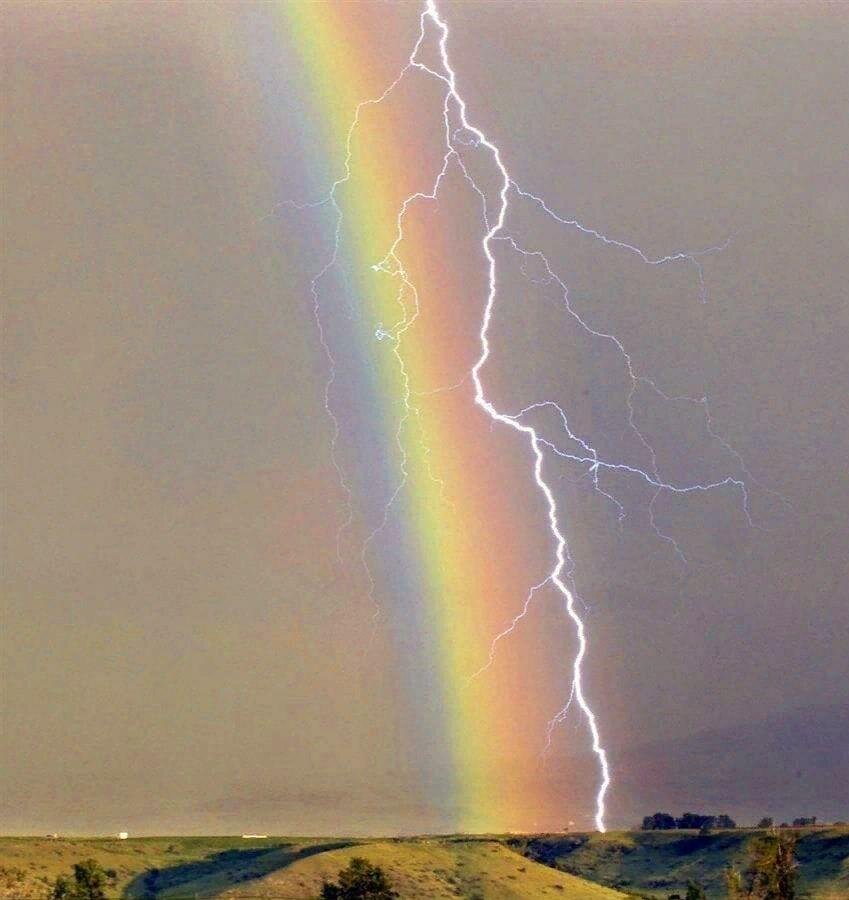 Фото от друзей. В природе, как и в жизни, соседствуют две противоположности.