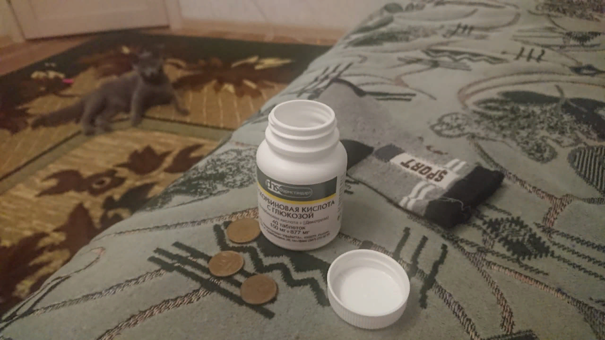 Фото из личного архива - Бусик уже в ожидании, он уже знает, чем занимается хозяйка