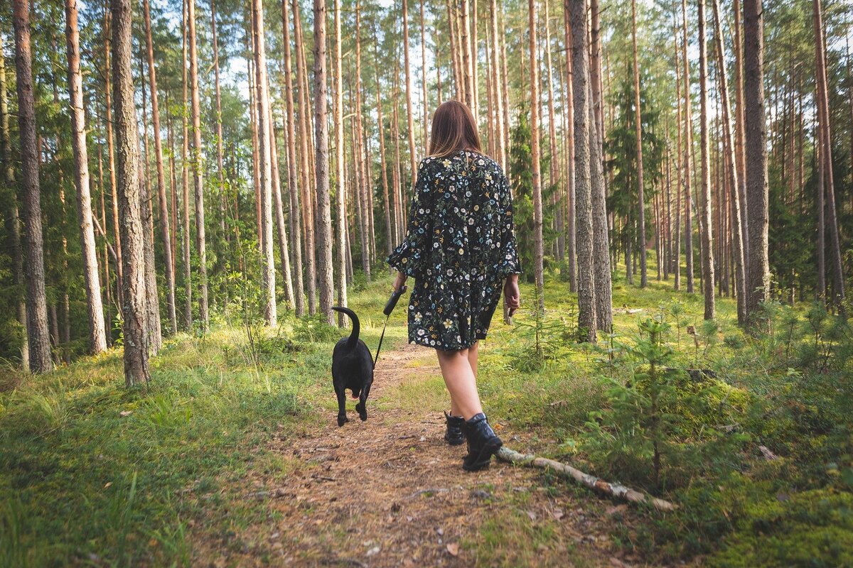 фото с сайта pixababy.com