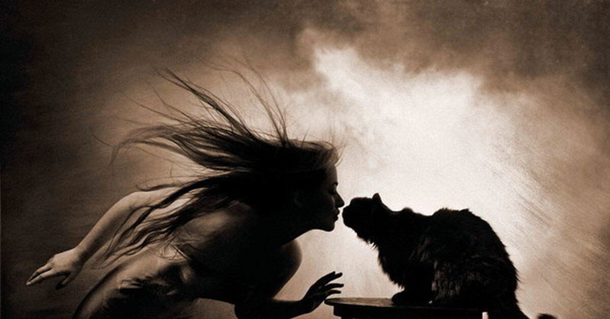 Яндекс картинки