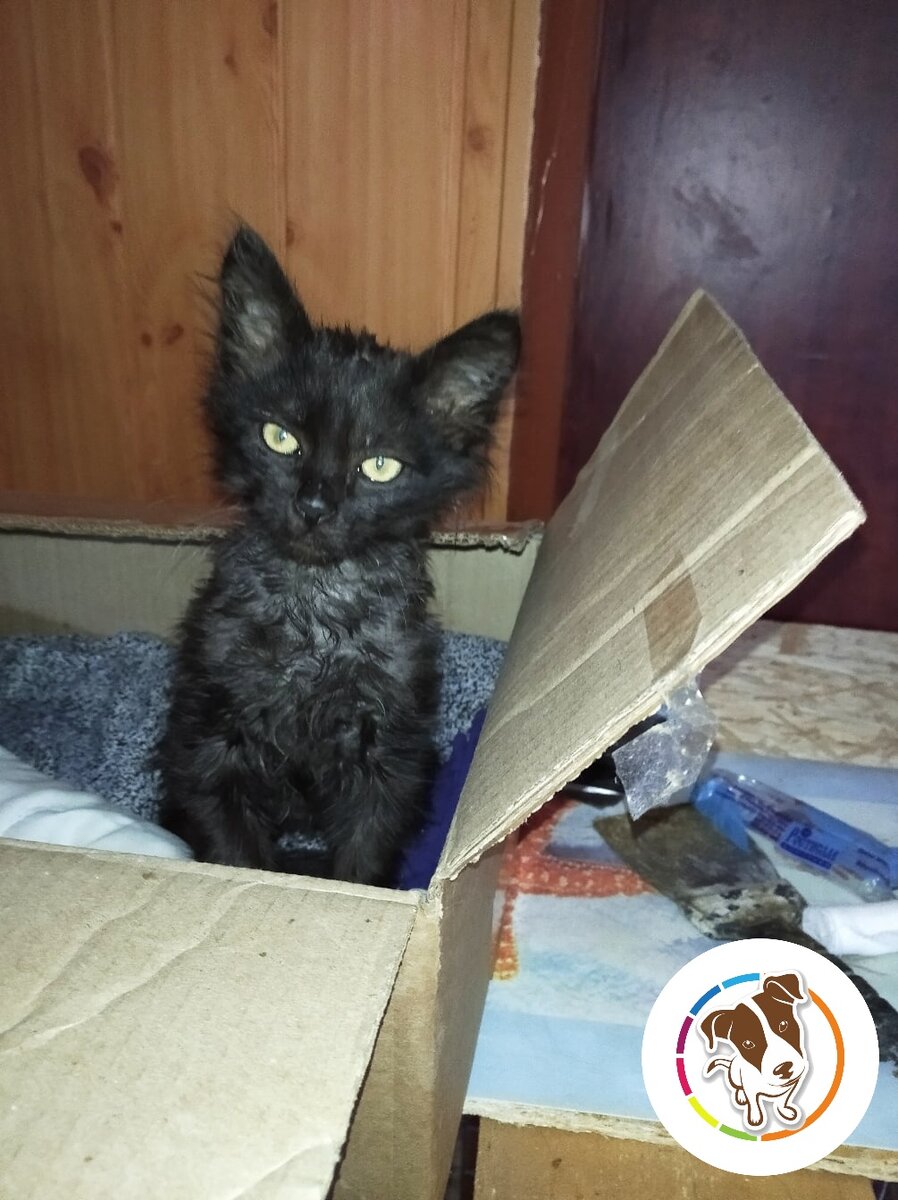 Фото: Шаталов Андрей