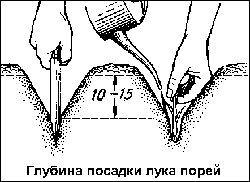 -7