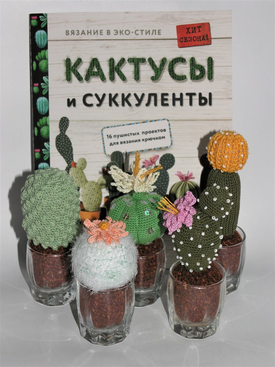 Вот первые пять кактусов в рюмках)))