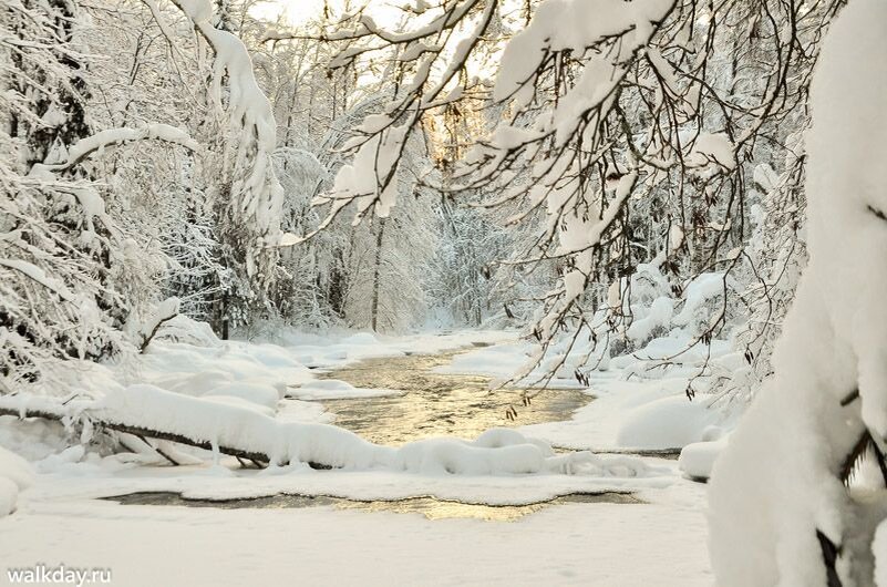 Фото: walkday.ru