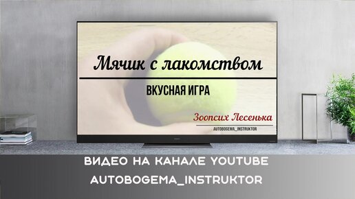 Видео мастер-класс: шьем своими руками плюшевую собаку: Мастер-Классы в журнале Ярмарки Мастеров