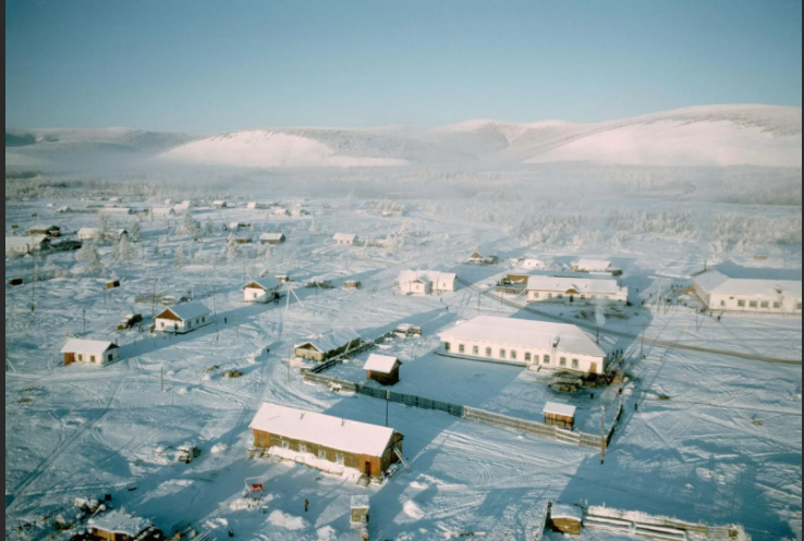 Фото. Яндекс картинки