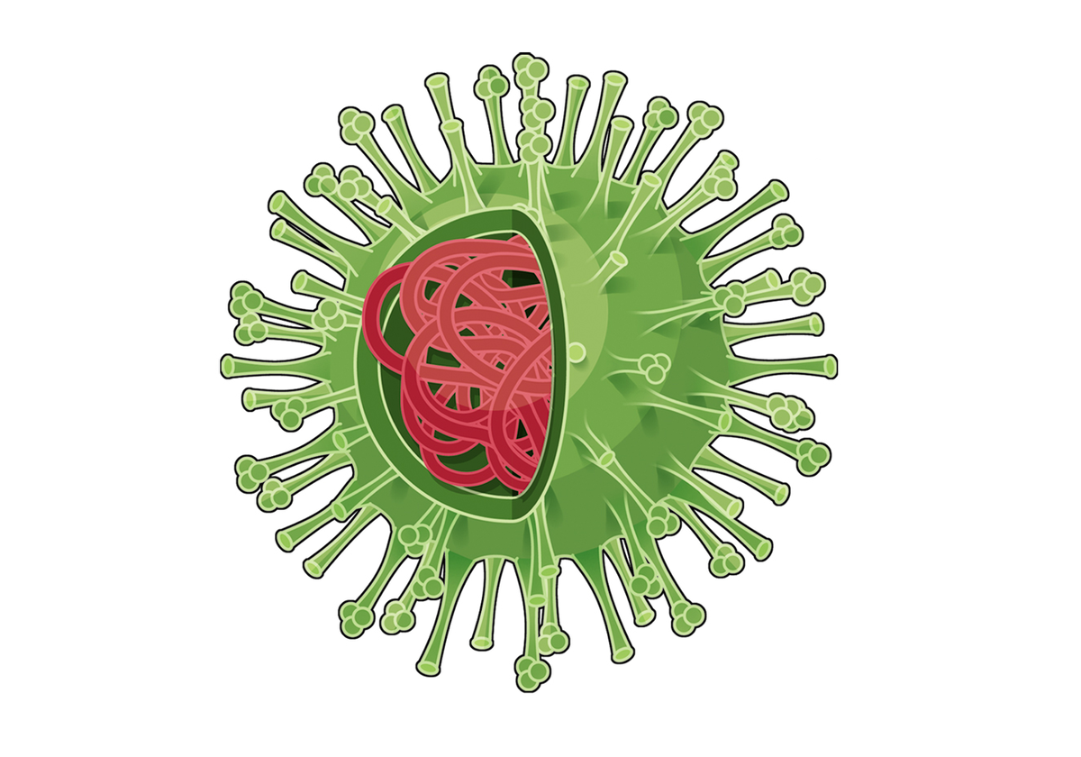 Вирус h1n1 испанка. Изображение вируса. Вирус на белом фоне. Вирус рисунок.