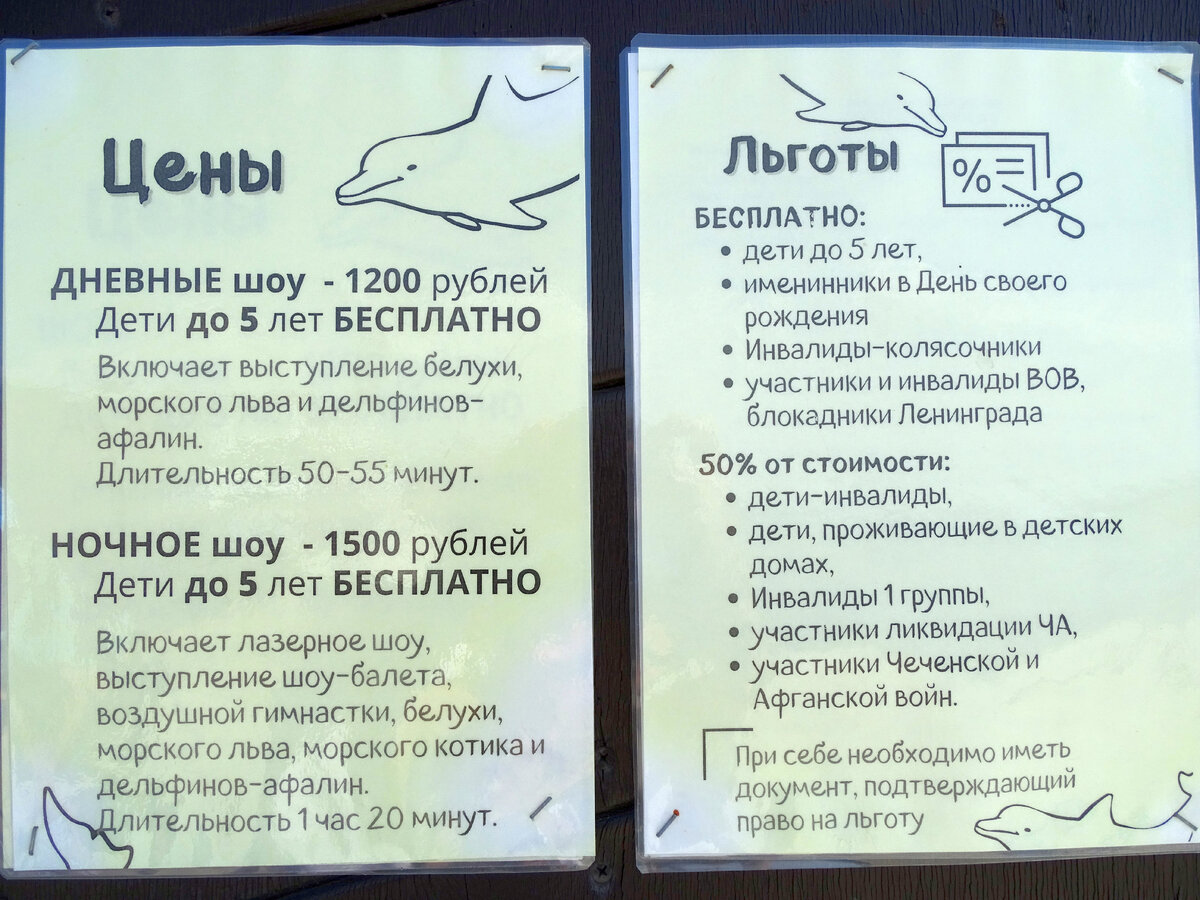 Анапа Большой Утриш / Лайфхак: как посмотреть на дельфинов, не покупая  билет в дельфинарий | Марина и море | Дзен