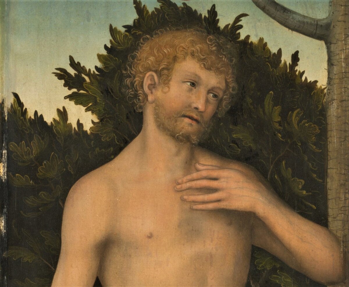 "Адам" Лукаса Кранаха Старшего.