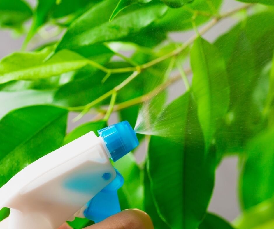 Что такое хелаты и зачем они нужны? Разбираемся в теме | 🌿Школа ...