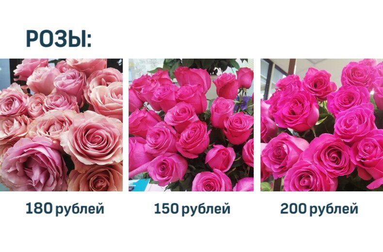 Фото: Тульская служба новостей