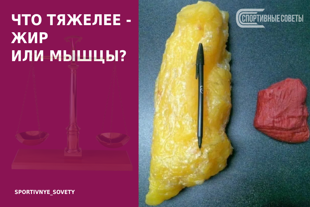 Расчет ИМТ - Похудение с расчётом - Calorizator.ru
