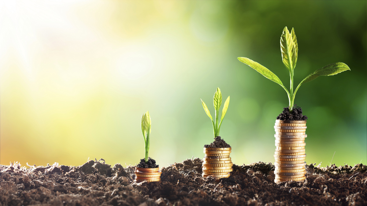 Источник: Яндекс