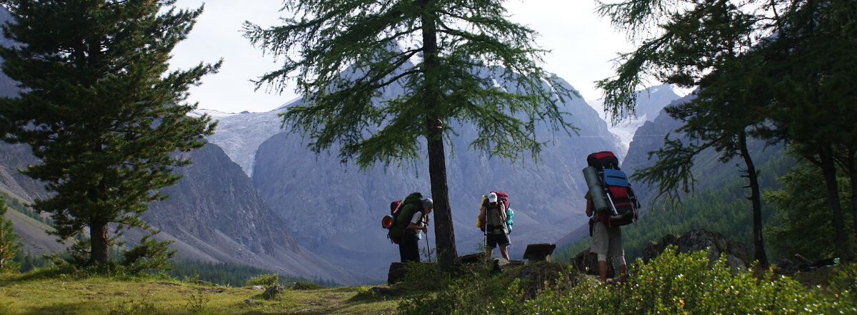Окрестности альплагеря Актру. Алтай. Август 2012.