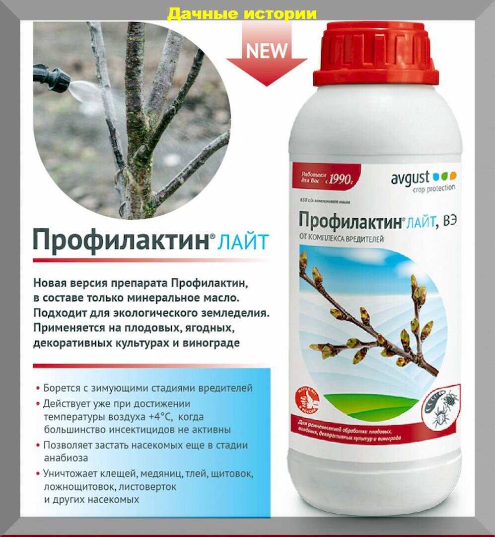 https://vk.com/photo-159774511_457251860