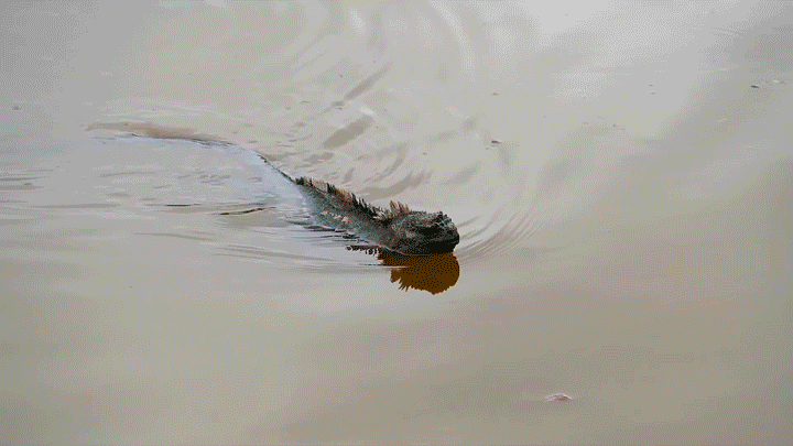 Вода и берег