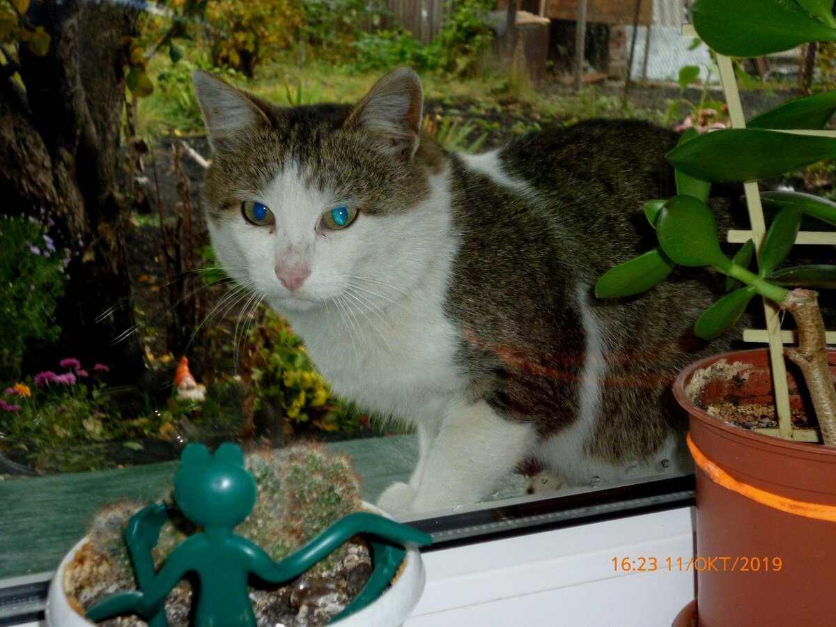 Чужачок был во здравии. (Фото автора).