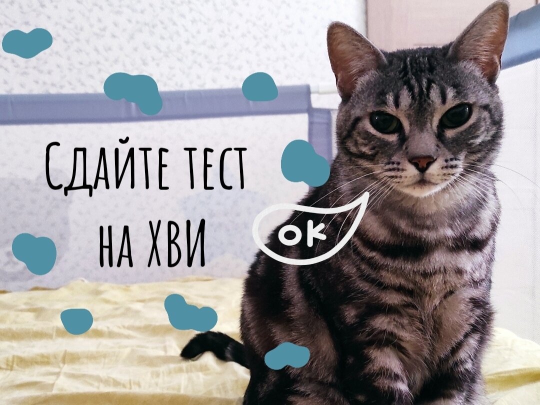 Сдайте анализы на ХВИ | КОТанутый доктор🐱 | Дзен