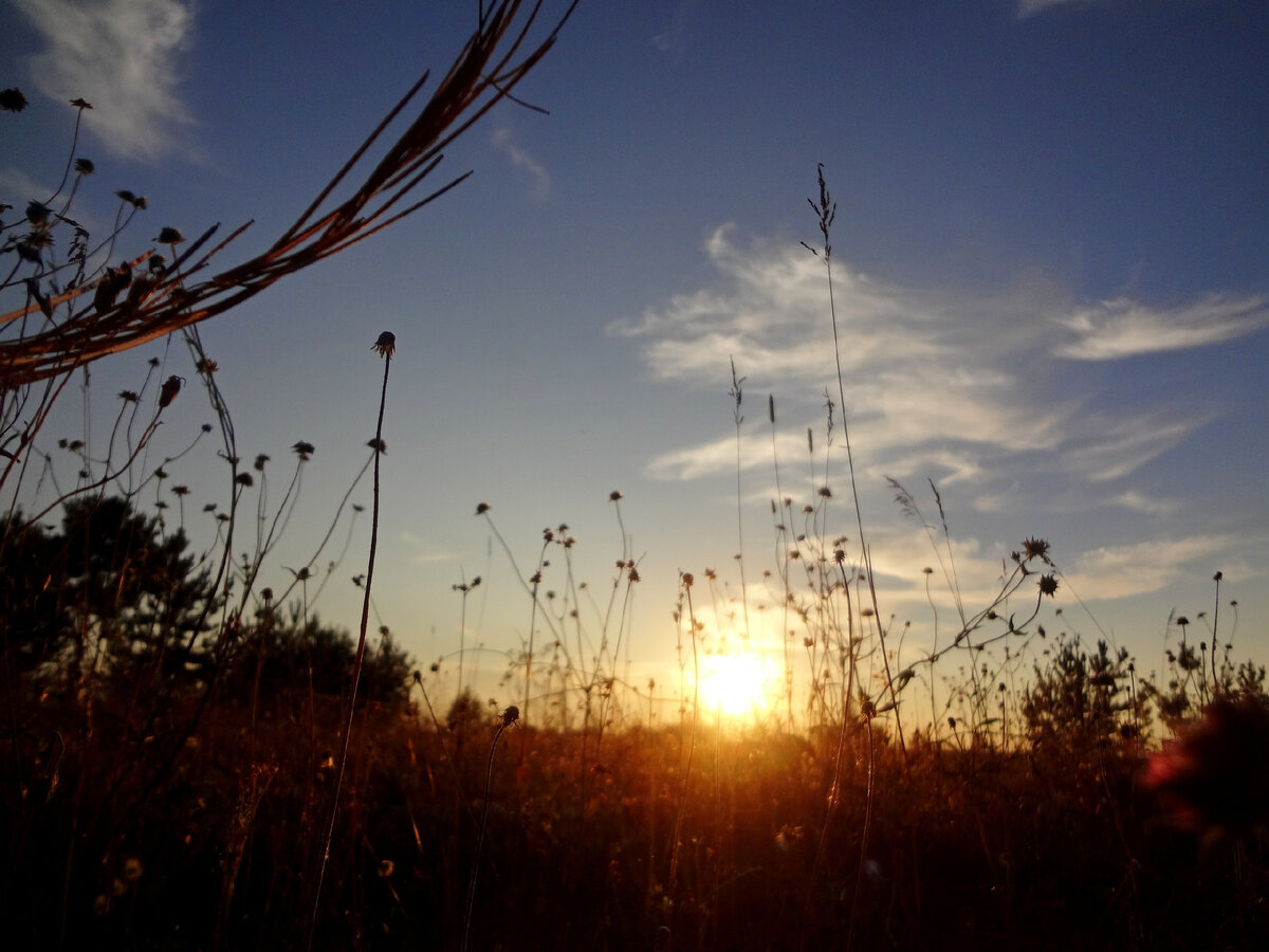 Фото: Дарья Некрасова