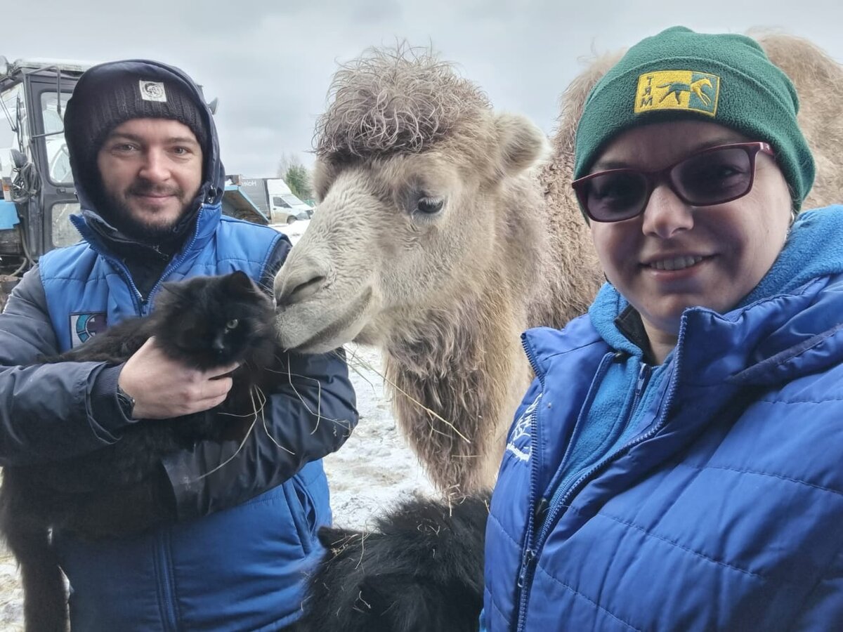 🚑MAXIMA VET в Подмосковье.  