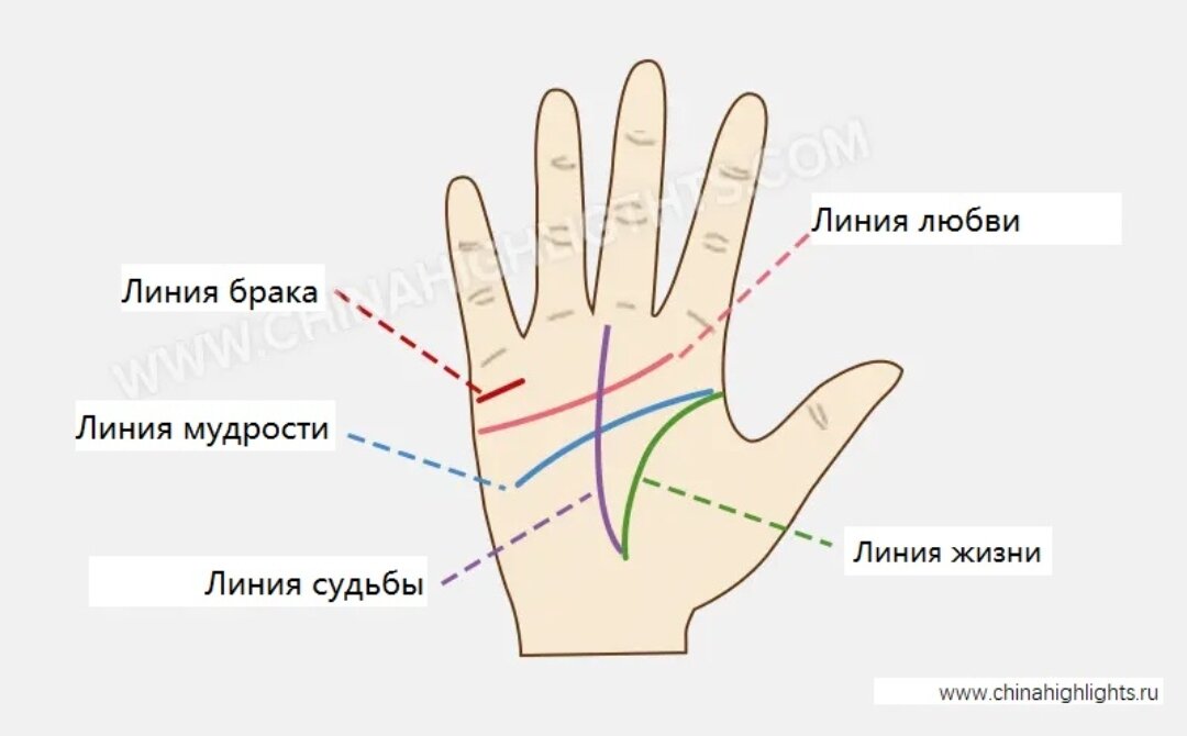 Линия брака на руке у женщины и мужчины: фото, расположение, значение, расшифровка