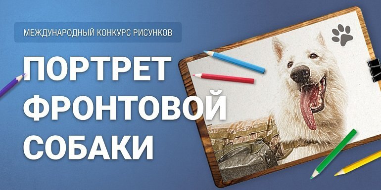   Портреты фронтовых собак, написанные юными ивановками, высоко оценили в Москве