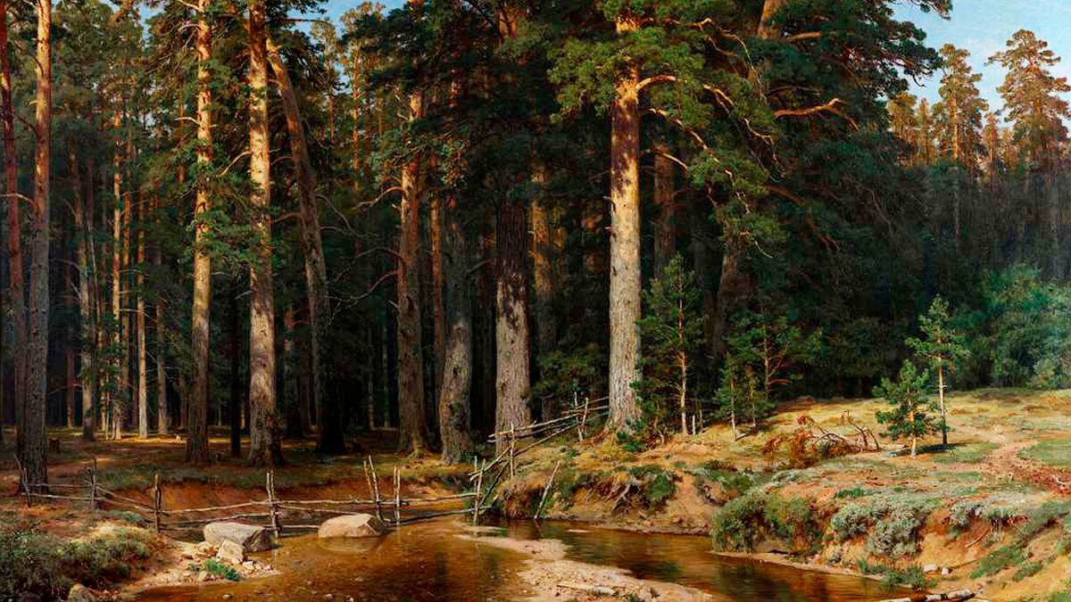И. Шишкин «Корабельная роща» | Фото: Источник: Public domain photograph of 19th-century Russian painting, free to use