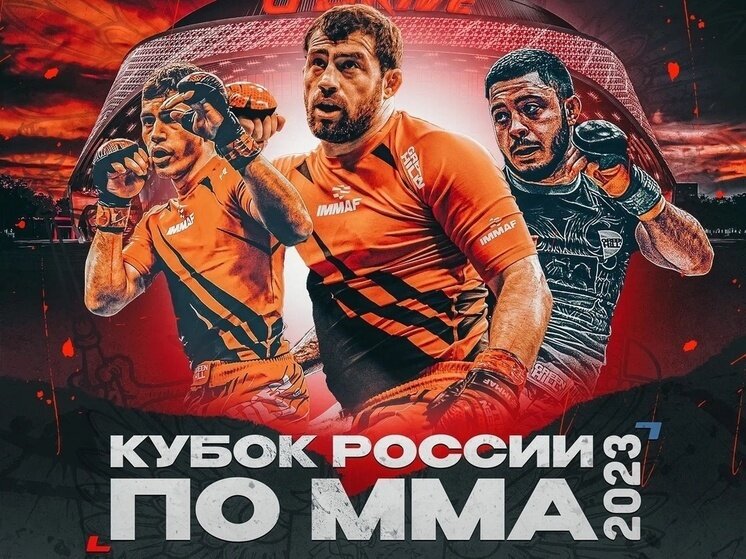     фото: Союз ММА России