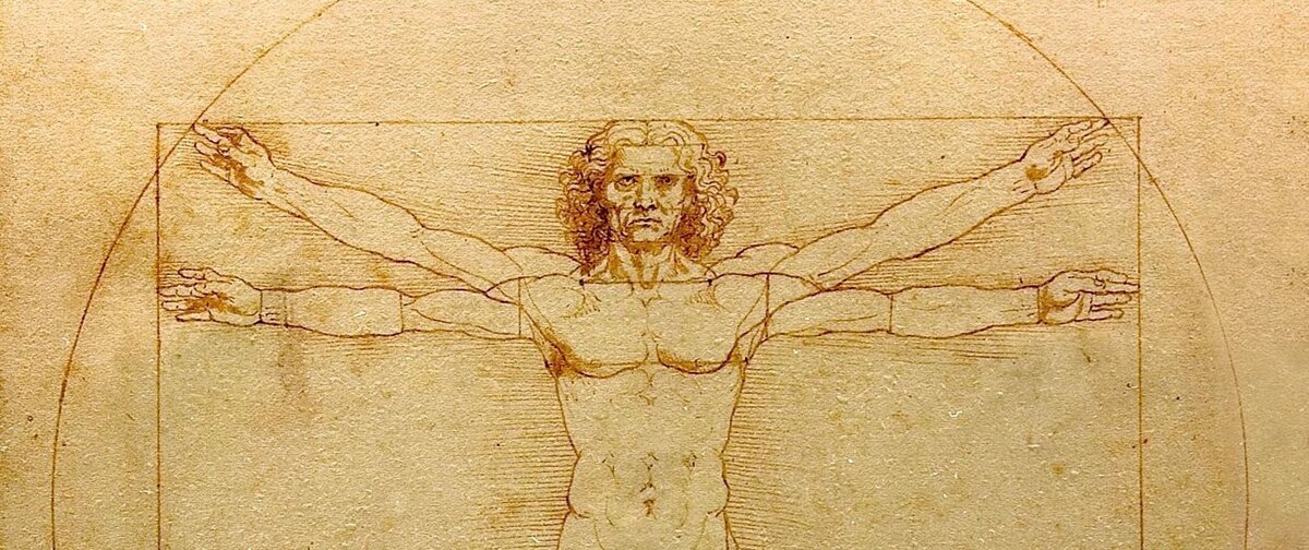 Фото: https://wwwartandobject.com/news/history-and-influence-da-vincis-vitruvian-man