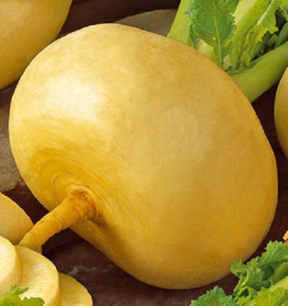 Источник  : Яндекс  картинки 