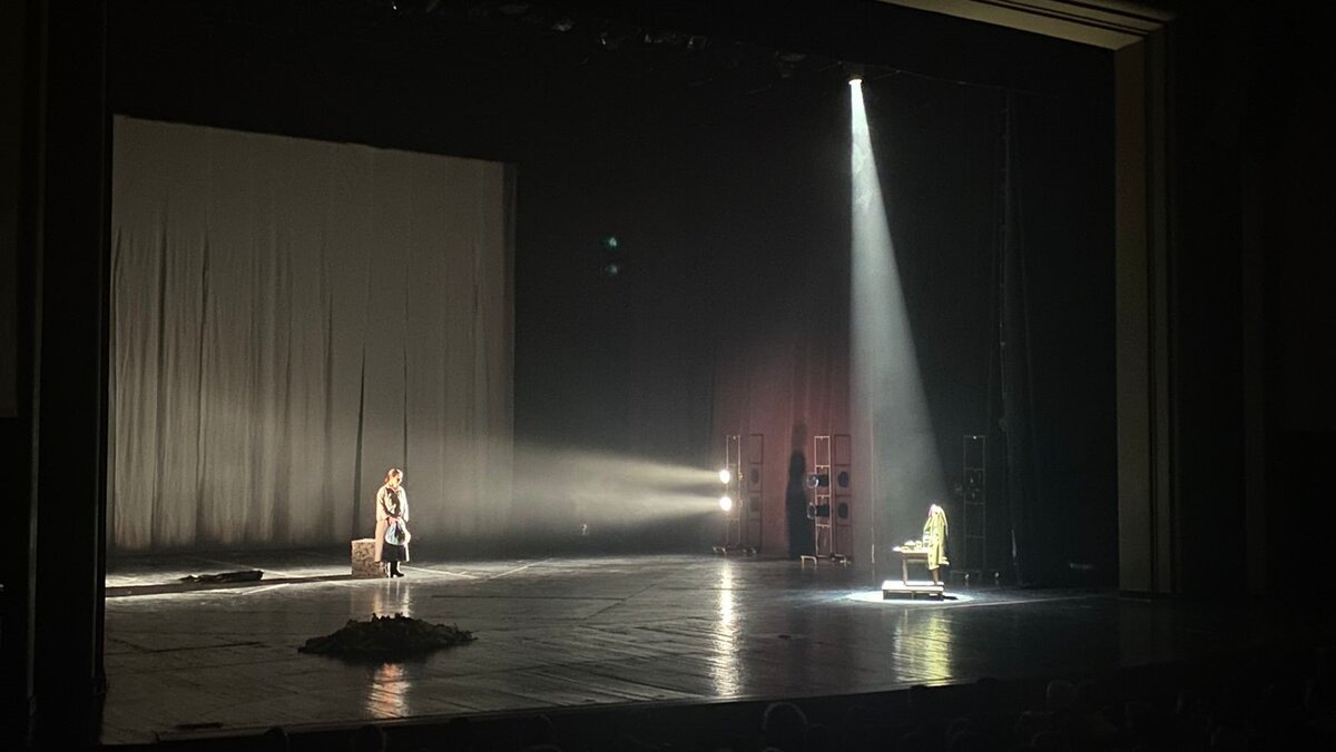    В Курском драмтеатре состоялась премьера моноспектакля «Дуга. Женщина в тени огромного леса»