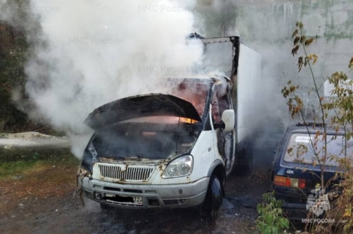    Пожарные оперативно потушили автомобиль в Бежицком районе Брянска