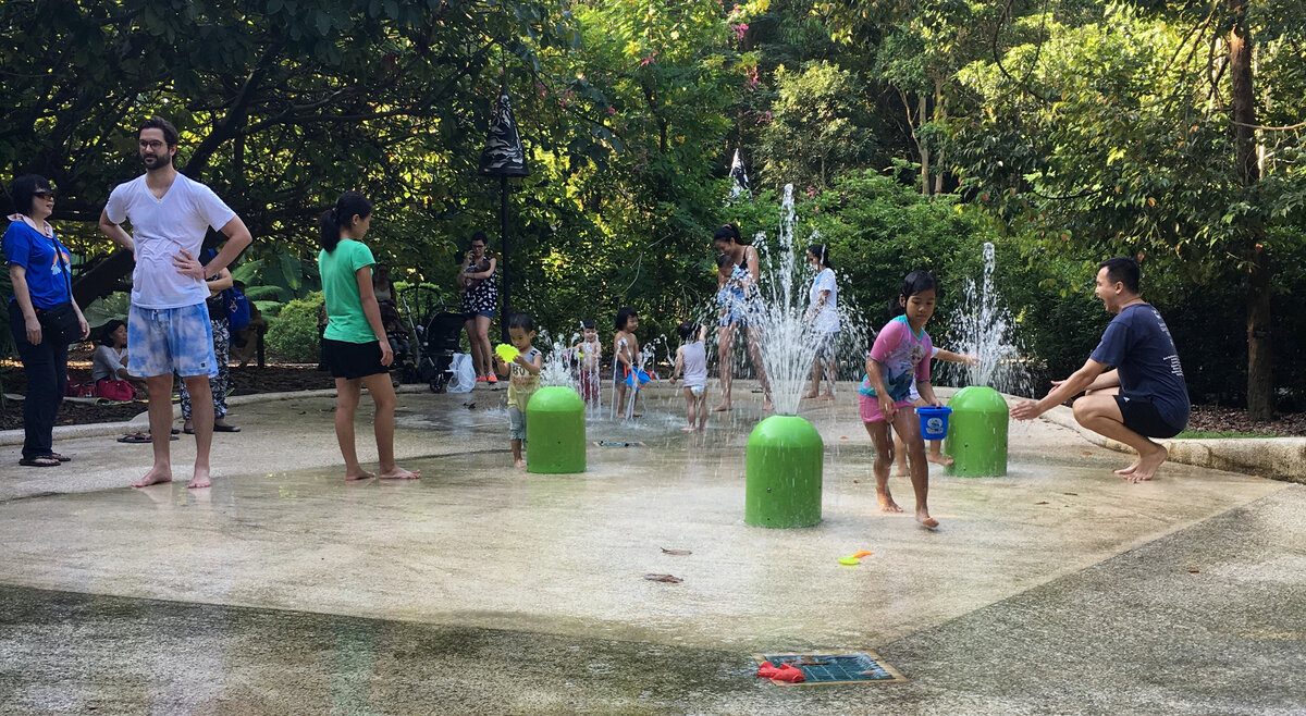 Водная площадка в ботаническом саду.