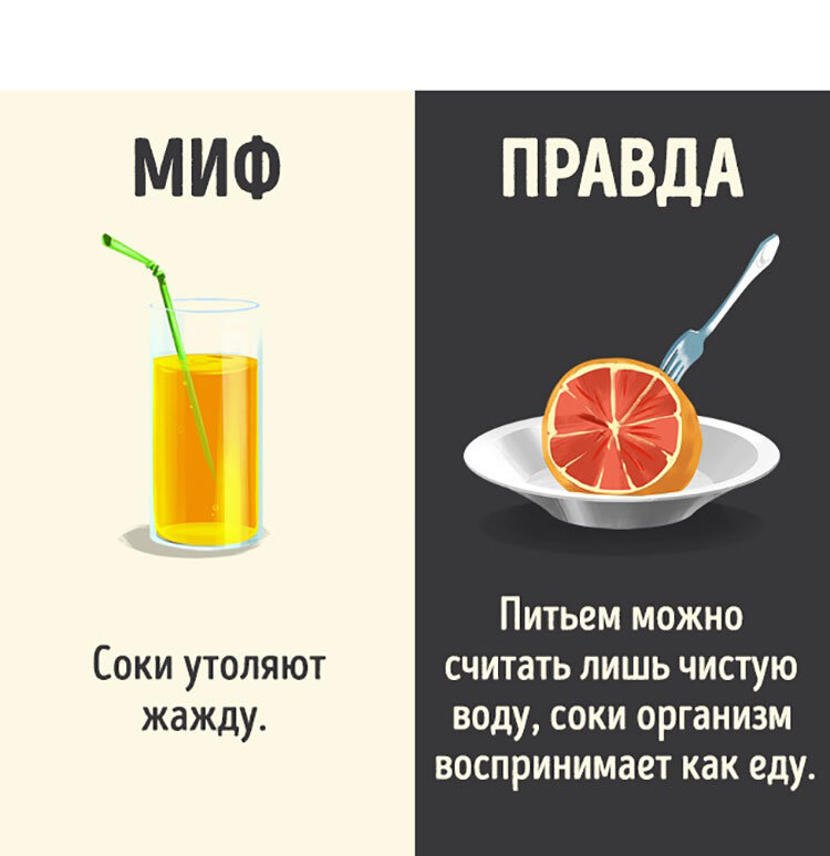 Мифы и правда картинка