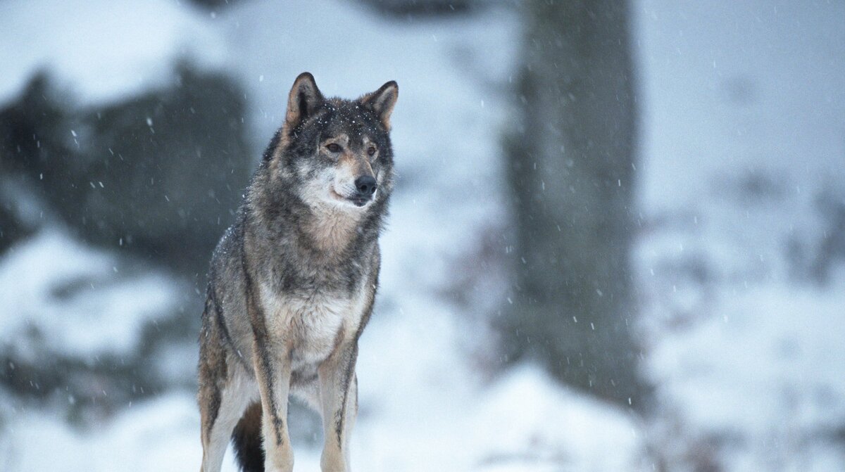 Фото: © GLOBAL LOOK press