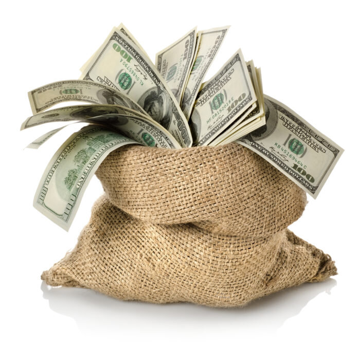 Money in the bag isolated on a white background