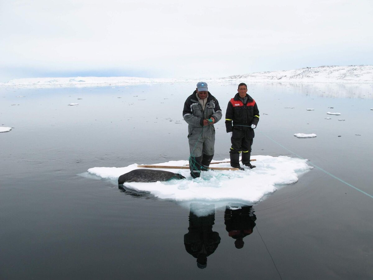 Рыбалка на мормышку по последнему льду: советы и рекомендации