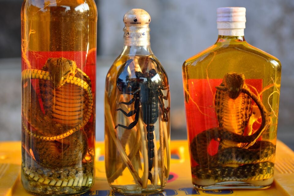 Использую в целебных целях и считают сильнейшим афродизиаком.