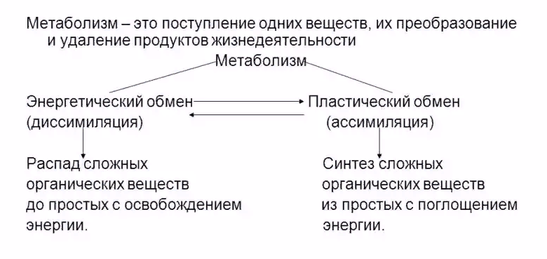 Люблю наглядные схемы. А вы?