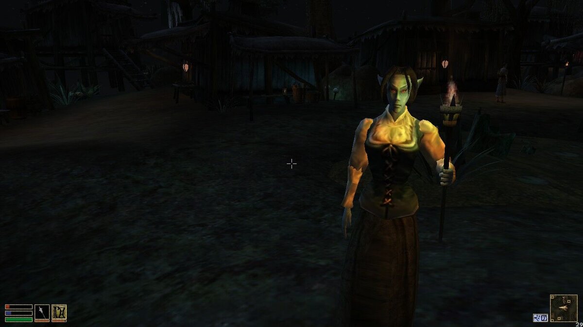 Сейда Нин. Дружелюбная данмерка вглядывается в глаза очередного путешественника. Стоп, а что это за хижины у неё за спиной?