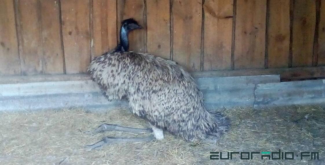 Фото: ЧПУ "Охрана природы"