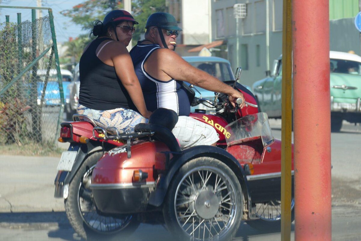                                                   Как вам? То ли "ИЖ", толи "ЯВА"